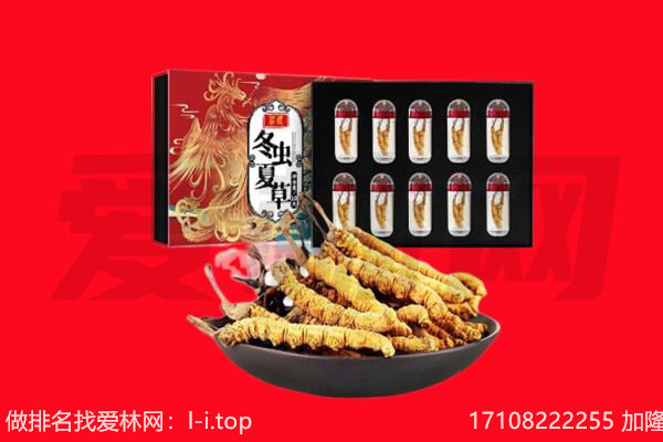 广州市从化回收虫草.jpg